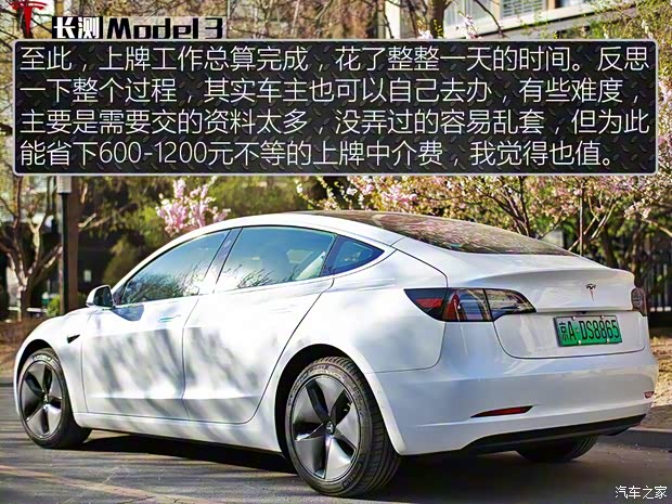 特斯拉（进口） Model 3(进口) 2019款 长续航后驱版