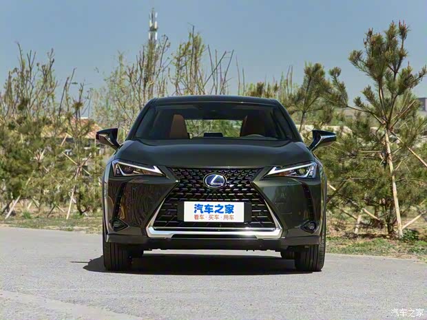 雷克薩斯 雷克薩斯UX新能源 2020款 300e
