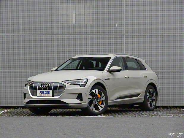 奥迪(进口) 奥迪e-tron 2019款 55 quattro 专享型 奥迪(进口) 奥迪e-tron 2019款 55 quattro 专享型