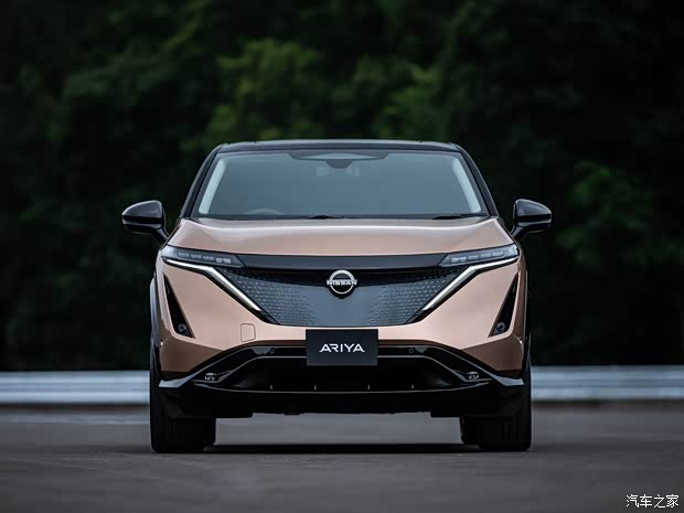 日產(chǎn)(進口) Ariya 2020款 基本型