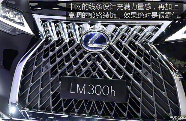 雷克薩斯 雷克薩斯LM 2019款 300h