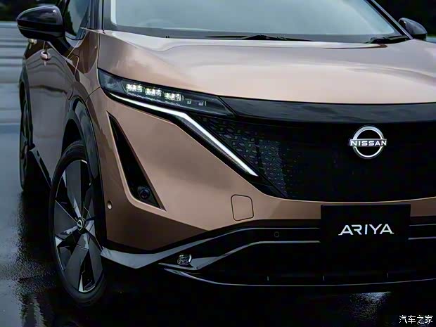 日产(进口) Ariya 2020款 基本型