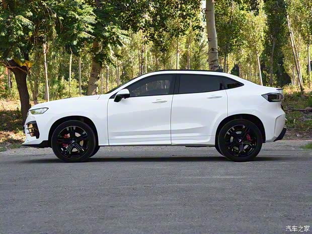 長(zhǎng)城汽車 WEY VV7 GT 2020款 brabus automotive