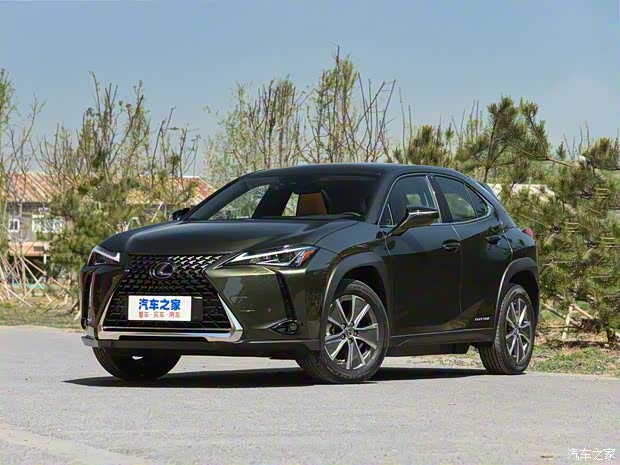 雷克萨斯 雷克萨斯UX新能源 2020款 300e