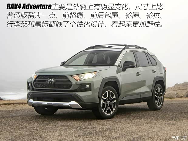 豐田(進口) 豐田RAV4(進口) 2019款 基本型