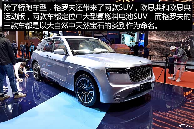 格罗夫 欧思典 2019款 标准版