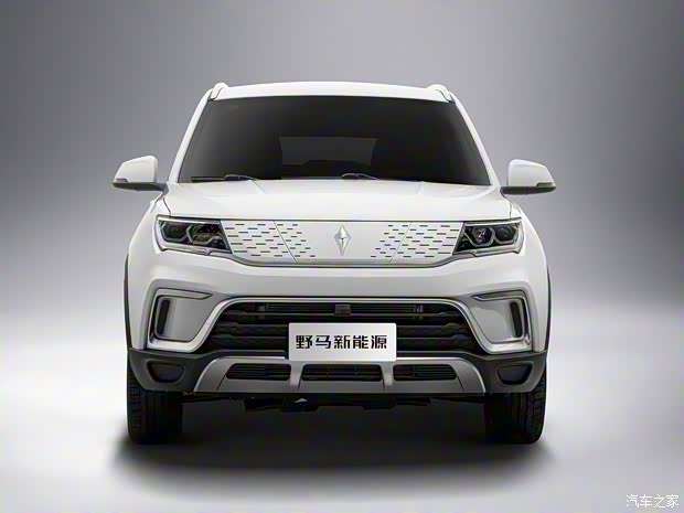 野馬汽車 野馬EC60 2020款 基本型 野馬汽車 野馬EC60 2020款 基本型