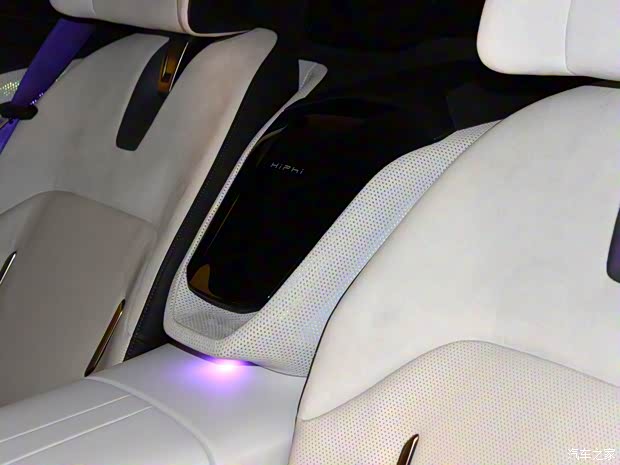 華人運(yùn)通 高合HiPhi Z 2023款 高配版