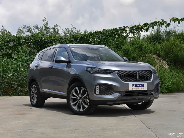 長(zhǎng)城汽車 WEY VV6 2020款 2.0T 兩驅(qū)智護(hù)+