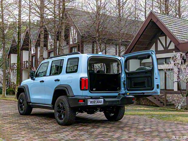 长城汽车 坦克300 2021款 2.0T 致敬莫奈限定版 长城汽车 坦克300 2021款 2.0T 致敬莫奈限定版