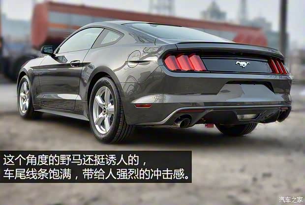 福特(进口) 野马 2016款 2.3T 性能版