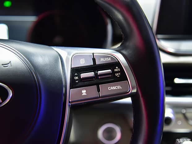 起亚(进口) Telluride 2019款 基本型