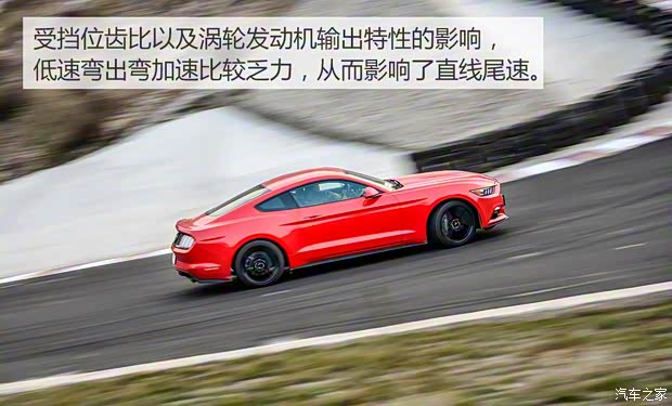 福特(进口) 野马 2015款 2.3T 50周年纪念版