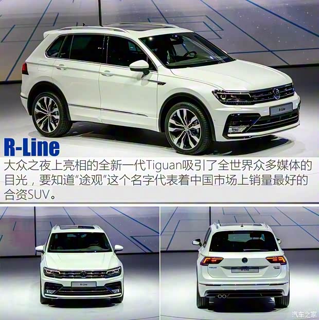 大众(进口) Tiguan 2017款 2.0TDI 基本型
