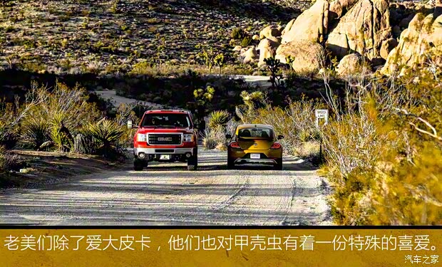 大眾(進(jìn)口) 甲殼蟲 2016款 Dune