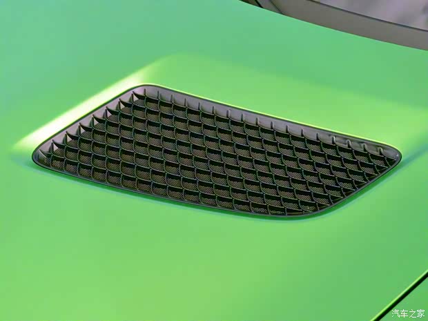 梅赛德斯-AMG AMG GT 2016款 AMG GT R