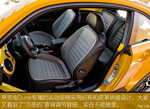 大众(进口) 甲壳虫 2016款 Dune