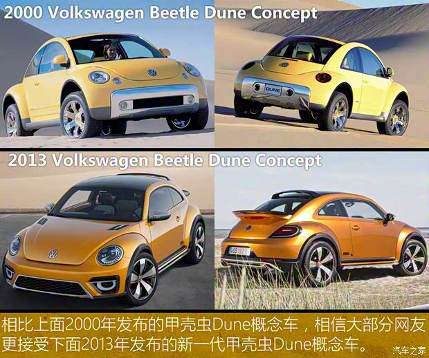 大眾(進(jìn)口) 甲殼蟲 2016款 Dune