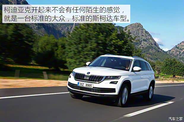 斯柯達(進口) 柯迪亞克(海外) 2016款 基本型