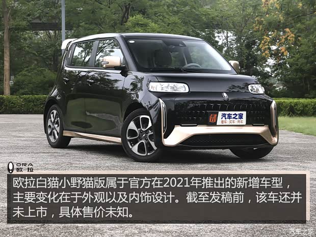 長城汽車 歐拉白貓 2021款 小野貓