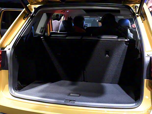 大眾(進(jìn)口) 大眾Atlas 2017款 基本型