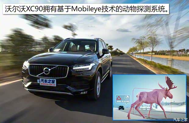 沃爾沃(進(jìn)口) 沃爾沃XC90 2016款 2.0T T5 智逸版 7座