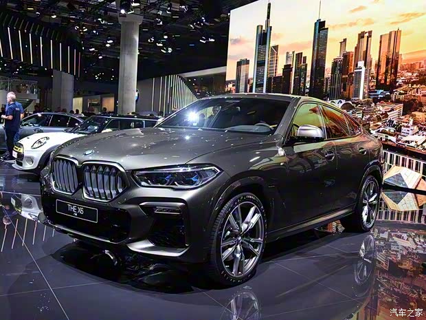 宝马(进口) 宝马X6 2020款 M50i