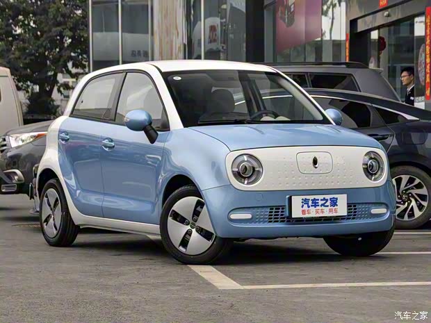 长城汽车 欧拉R1 2019款 301km 标准版