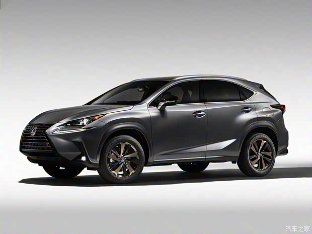 雷克萨斯 雷克萨斯NX 2020款 Black Line特别版