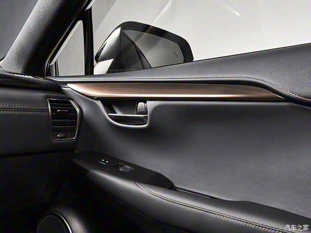 雷克萨斯 雷克萨斯NX 2020款 Black Line特别版