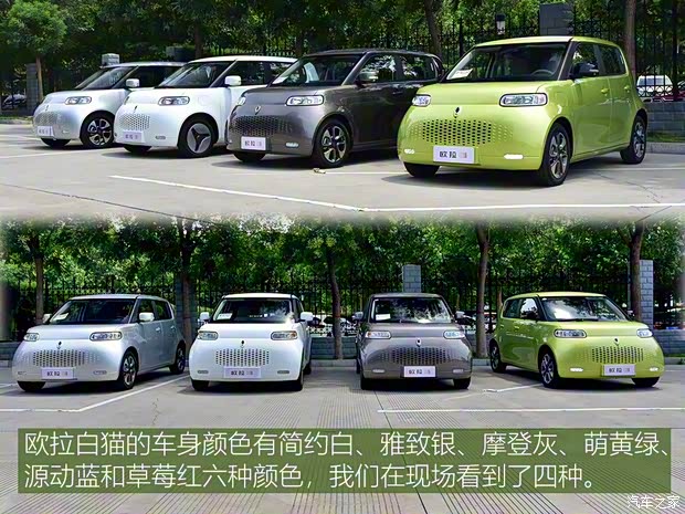 長(zhǎng)城汽車(chē) 歐拉白貓 2020款 360km 豪華型