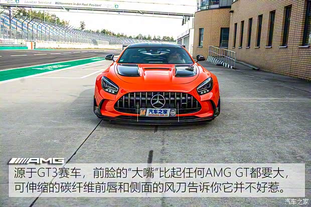 梅賽德斯-AMG AMG GT 2020款 AMG GT Black Series