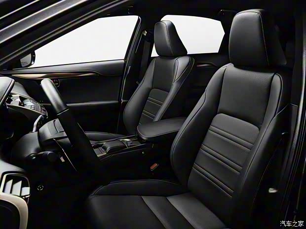 雷克萨斯 雷克萨斯NX 2020款 Black Line特别版