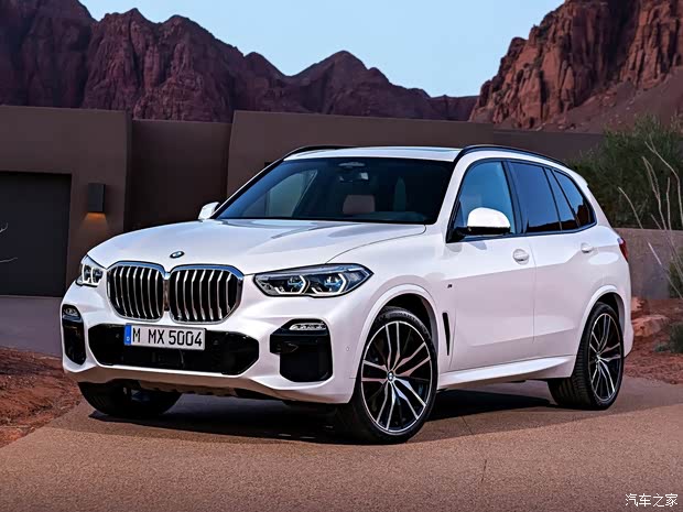 宝马(进口) 宝马X5 2019款 xDrive30d