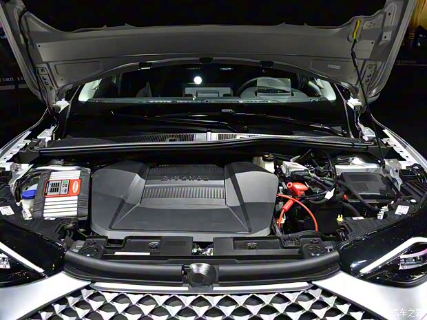 DS(進(jìn)口) DS 3新能源 2019款 Crossback E-Tense