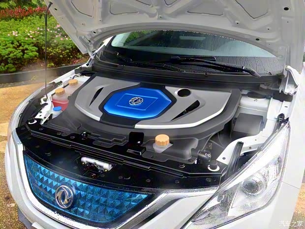 東風(fēng)風(fēng)行 風(fēng)行S50EV 2019款 旗艦型