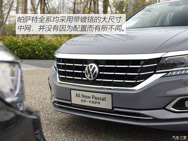 上汽大众 帕萨特 2019款 330TSI 尊贵版 国VI