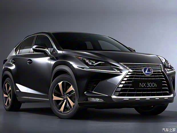 雷克萨斯 雷克萨斯NX 2017款 300h