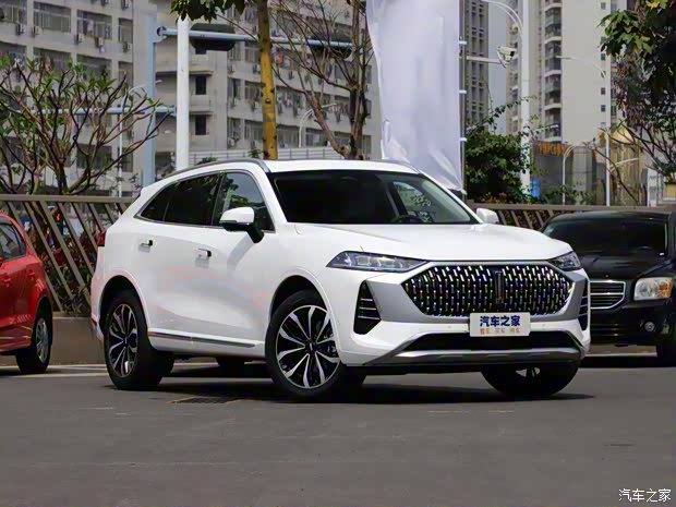 长城汽车 摩卡 2021款 2.0T 两驱特醇版