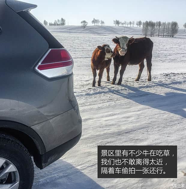 东风日产 奇骏 2014款 2.0L CVT舒适版 2WD