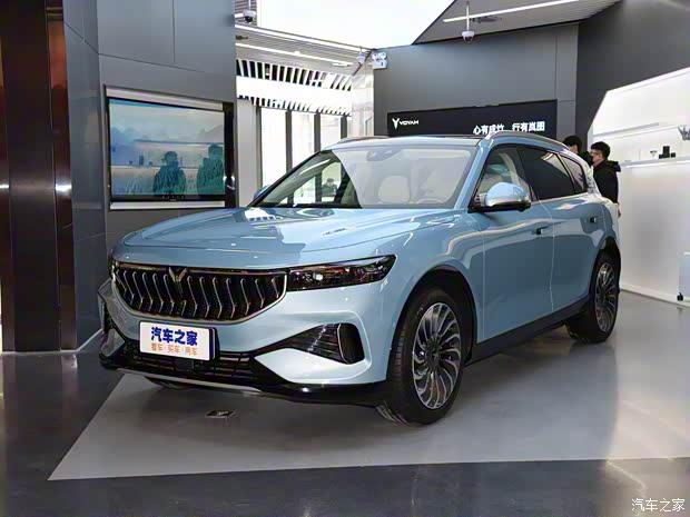 岚图汽车 岚图FREE 2021款 纯电版 岚图汽车 岚图FREE 2021款 纯电版