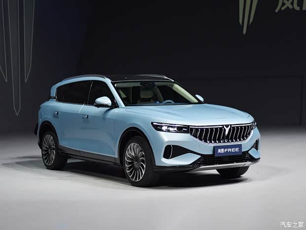 嵐圖汽車(chē) 嵐圖FREE 2021款 增程版