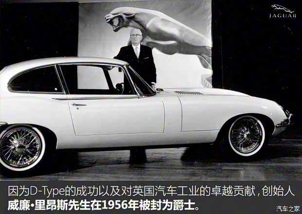 捷豹 捷豹D-Type 1956款 基本型