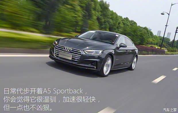 奥迪(进口) 奥迪A5 2017款 Sportback 45 TFSI quattro 运动型 奥迪(进口) 奥迪A5 2017款 Sportback 45 TFSI quattro 运动型