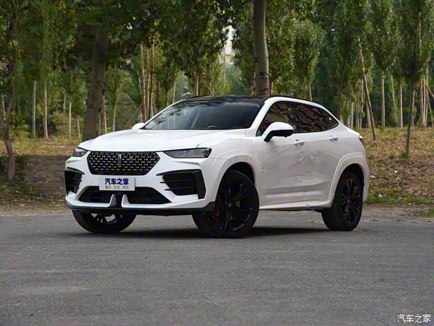 長(zhǎng)城汽車 WEY VV7 GT 2020款 brabus automotive