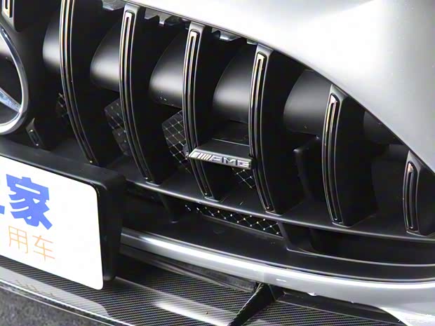 梅賽德斯-AMG AMG GT 2020款 AMG GT Black Series