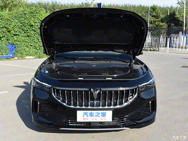 岚图汽车 岚图FREE 2021款 四驱增程版尊享包