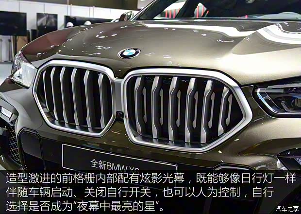 宝马(进口) 宝马X6 2020款 xDrive40i 