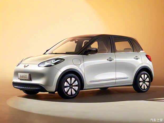 上汽通用五菱 五菱缤果 2023款 333km 上汽通用五菱 五菱缤果 2023款 333km