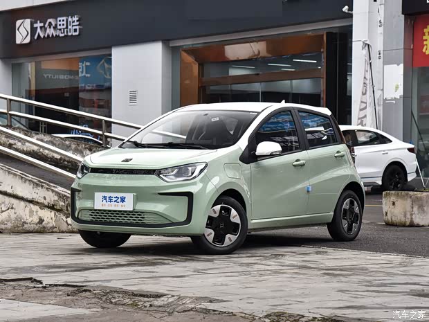 江汽集團(tuán) 花仙子 2023款 周年款 251km 滿(mǎn)天星 36kW